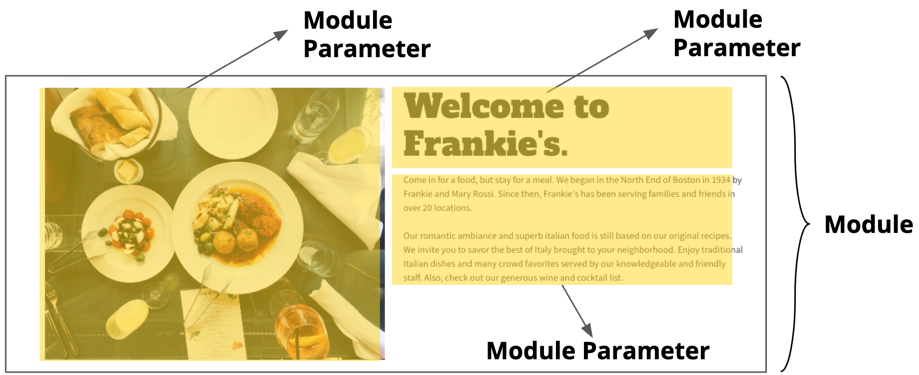 Module with module parameters highlighted