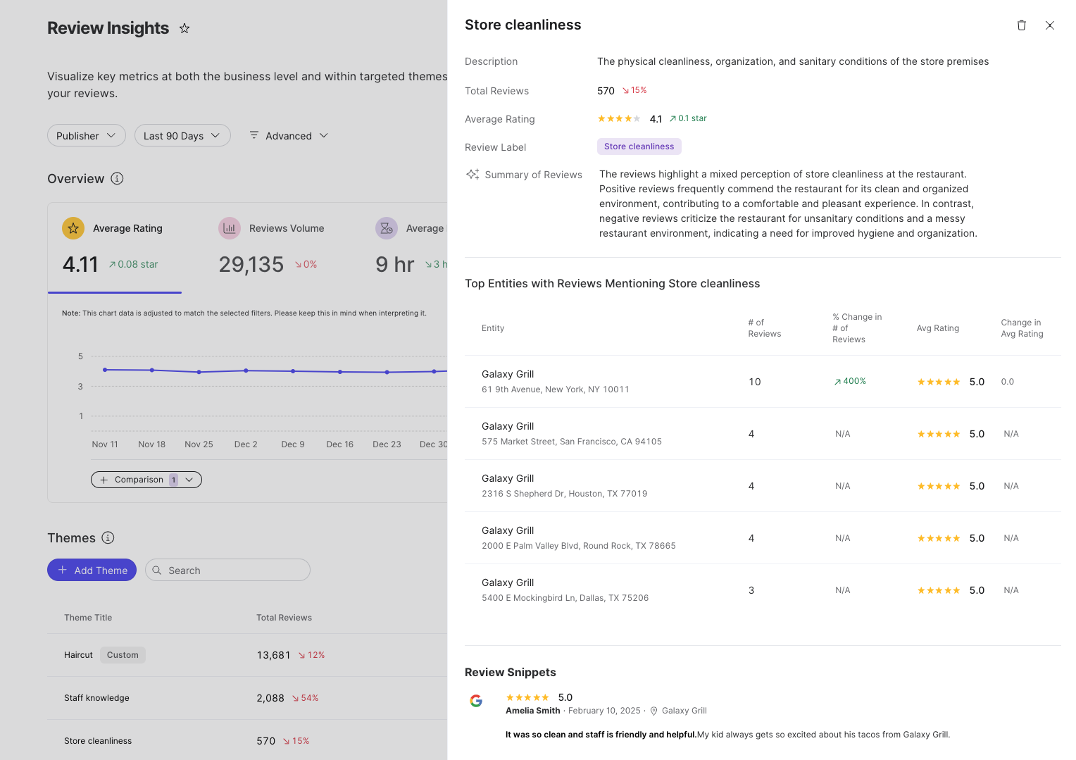 reviews insights theme details